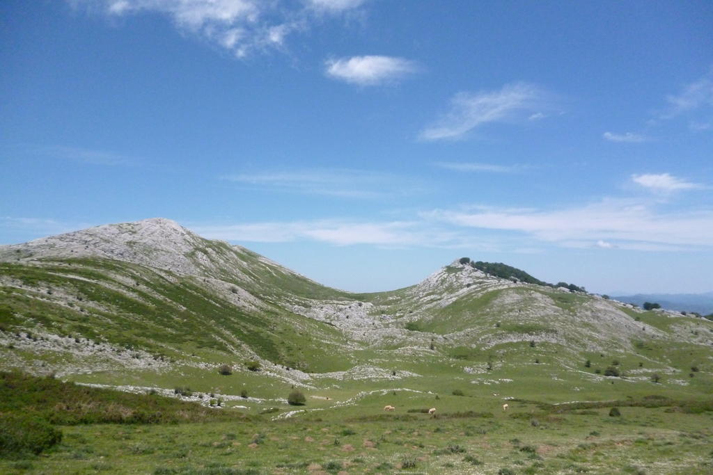 Hostal Betelu Kültér fotó
